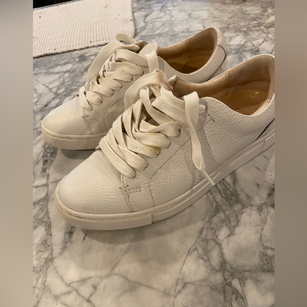 Frye sneakers